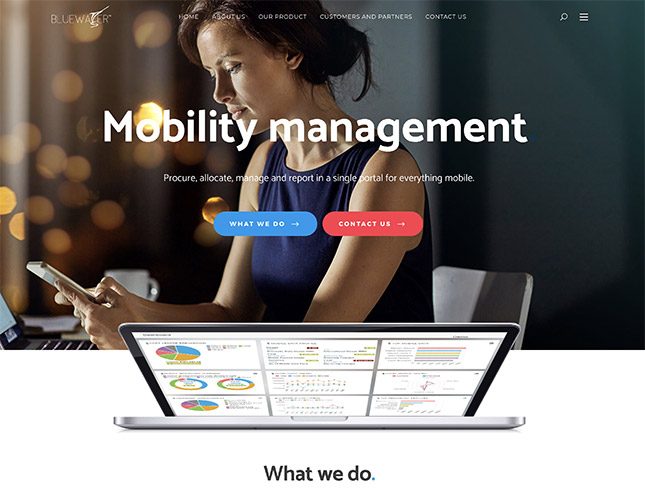 Website design for a Sydney enterprise technology company
